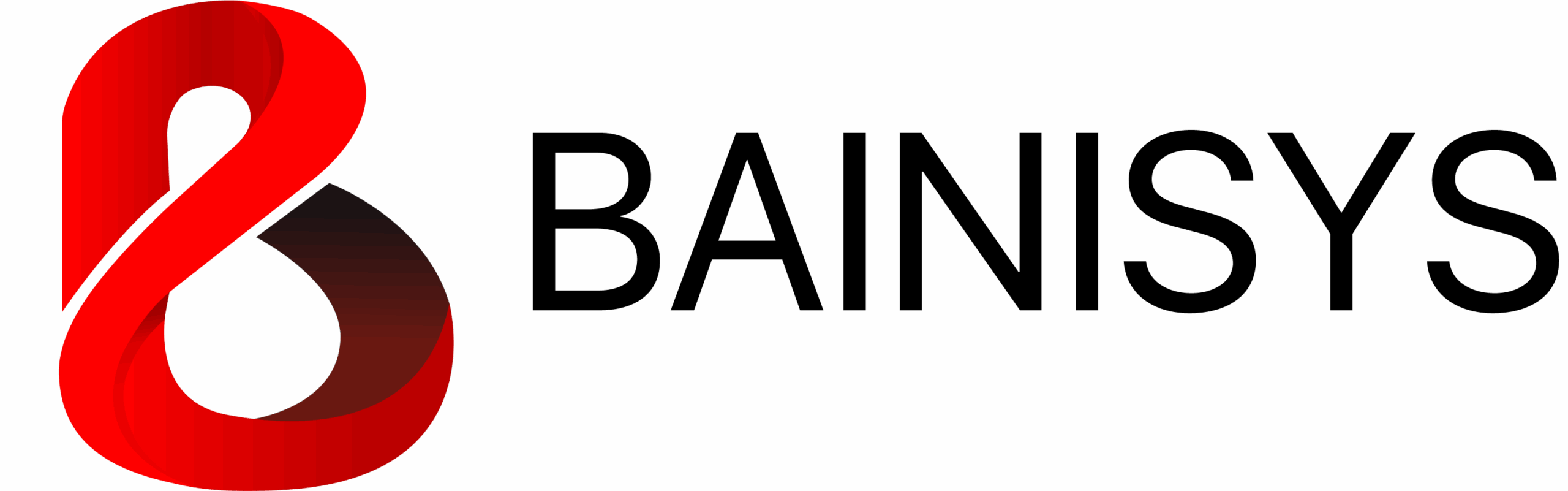 Bainisys Co., Ltd.